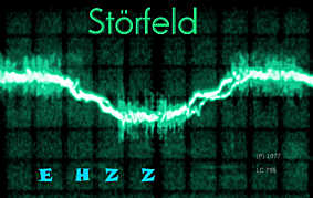 Cover Störfeld